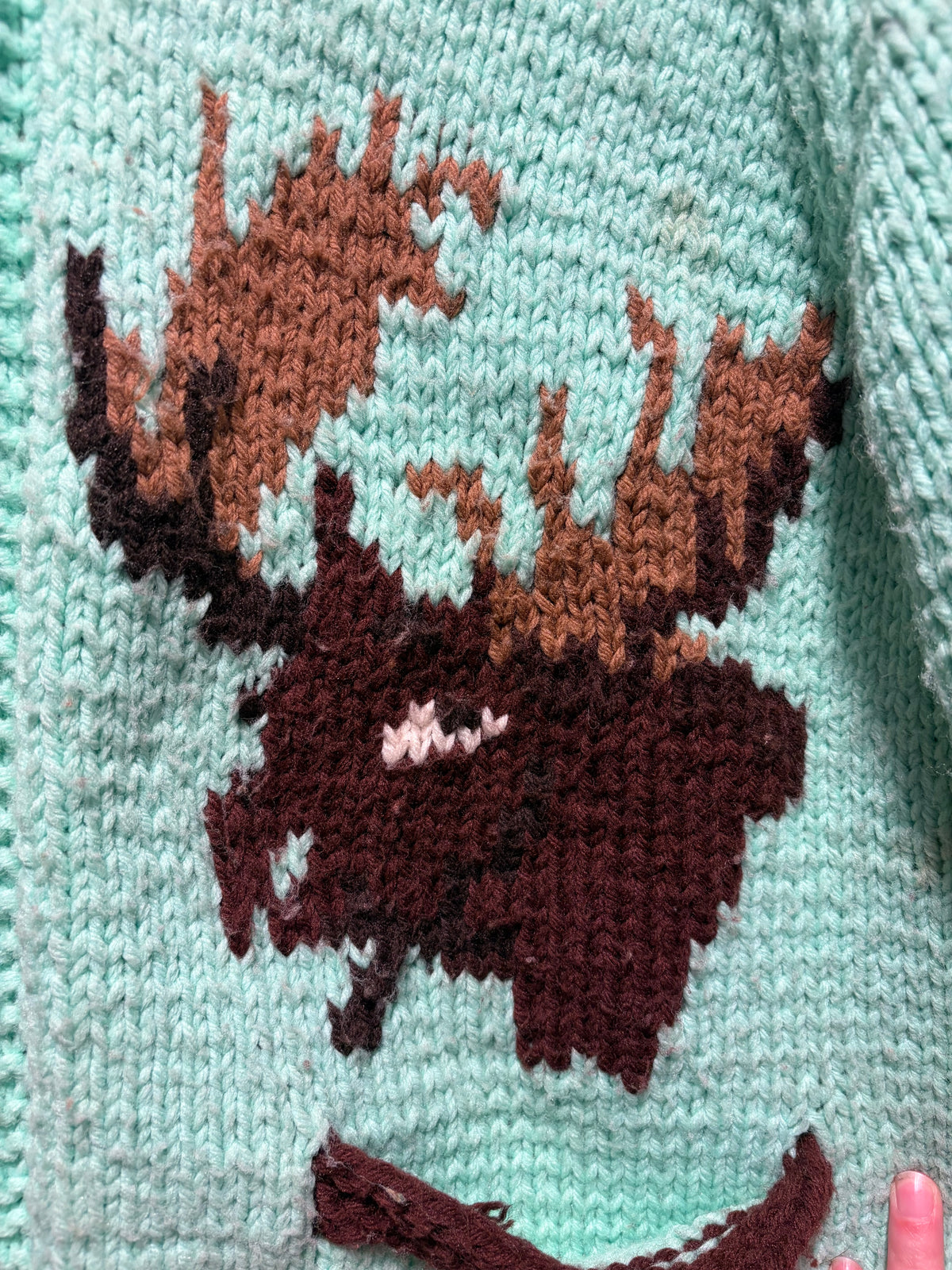 Design on Vintage Mint Chocolate Moose Cowichan Sweater SZ L